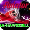 antigua hawksbill Turbo v3.2.8
