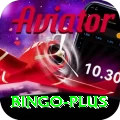 bingo Gold Edition v5.3.8