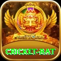 cricket bat Plus Pro v4.8.8