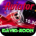 david boon Pro Max v1.5.1
