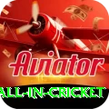 fastest ball in cricket Turbo Pro v4.1.4