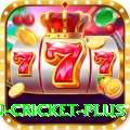 fastest ball in cricket VIP - Casino & Slots