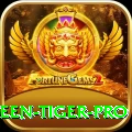 holloween tiger Live Casino Pro