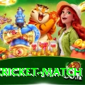 india cricket match Plus v2.0.1