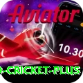 india england cricket Super PK v4.9.8
