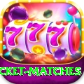 india upcoming cricket matches Max v1.0.9