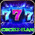 ireland cricket team Pro Max v2.9.4