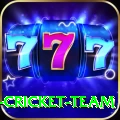 mumbai cricket team Ultimate v1.1.4