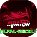 nepal cricket Deluxe v5.7.8
