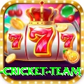 netherlands cricket team Plus Edition v1.0.4