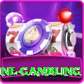 online gambling Pro Max v2.3.9