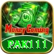 pak111 VIP v2.0.6