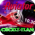 pakistan women cricket team VIP Pro v5.9.0