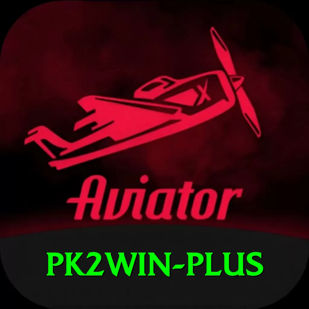pk2win Max v2.3.4 - 2