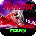 pkspin Max Pro vv5.5.5