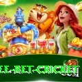 risk free bet cricket Games (Casino & Earning) VIP v3.4.5