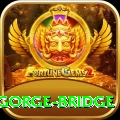 seti gorge bridge Plus Pro v3.2.8