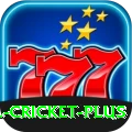 sl cricket Champion - Free Download
