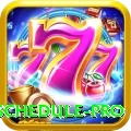 t20 match schedule Pro Gaming App