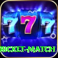 to day cricket match Plus Edition v3.5.3