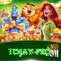 tojay Games (Casino & Earning) Deluxe v2.0.9