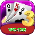 wc t20 Deluxe Edition v3.0.1