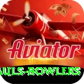 wicket hauls bowlers Pro1 v3.8.0