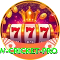 willow cricket Casino Official v4.6.1